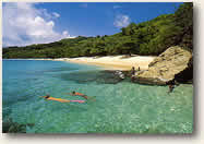 Bequia Snorkeling, Grenadines