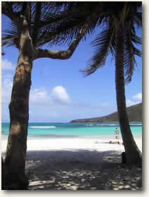 Spanish Virgin Islands Vieques Beach Puerto Rico Yacht Charter Destinations