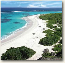 Sandy Barbuda Beach Antigua Sailing Charter Itinerary