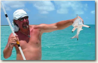 black tip shark caught in Anegada