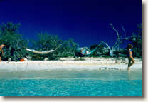 Virgin Islands sailing vacation VI yacht charter holiday
