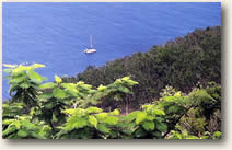 Sailing Sint Eustatius (Statia)