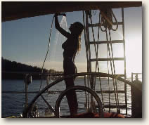 Nude Sailing Clothing Optional Yacht Charter Vacations